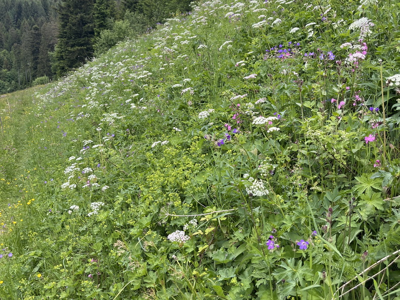 22-05-29 15-01-48 0995